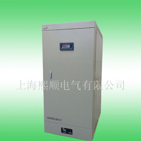 SVC Single-Phase High Accuracy Full Automatic AC Voltage Stabilizers